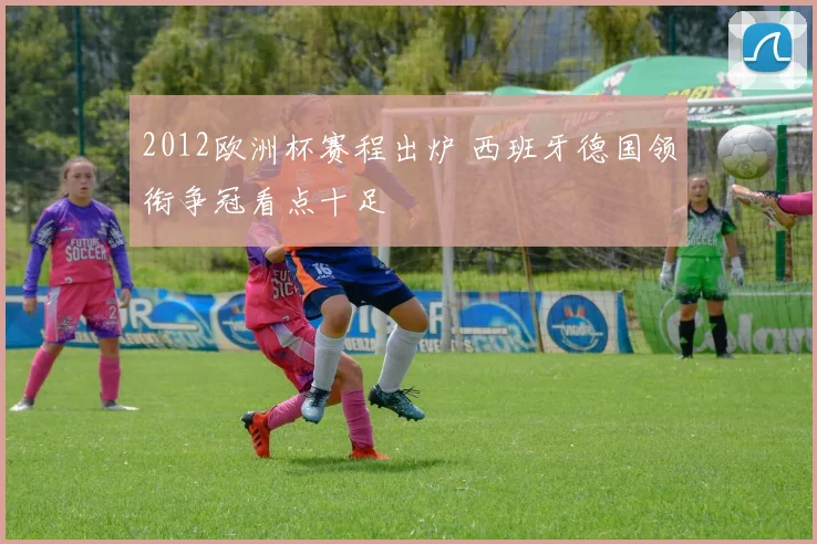 2012欧洲杯赛程出炉 西班牙德国领衔争冠看点十足