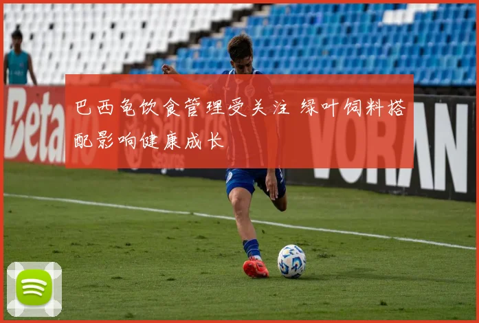 巴西龟饮食管理受关注 绿叶饲料搭配影响健康成长