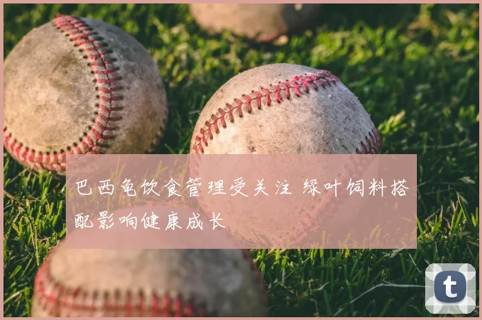 巴西龟饮食管理受关注 绿叶饲料搭配影响健康成长
