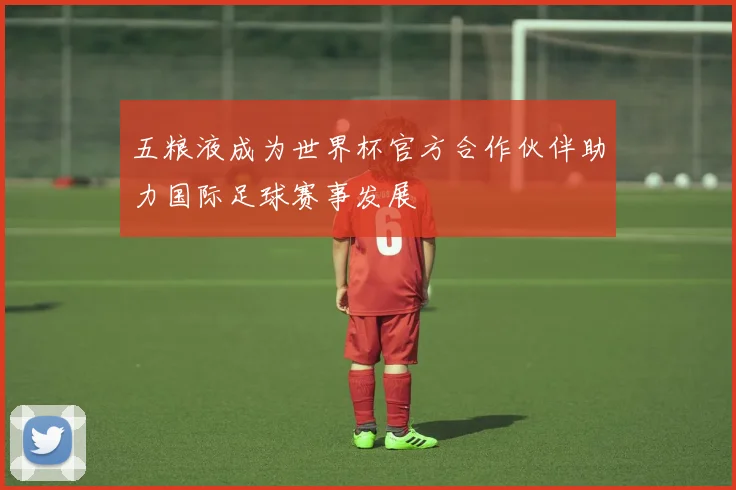 五粮液成为世界杯官方合作伙伴助力国际足球赛事发展