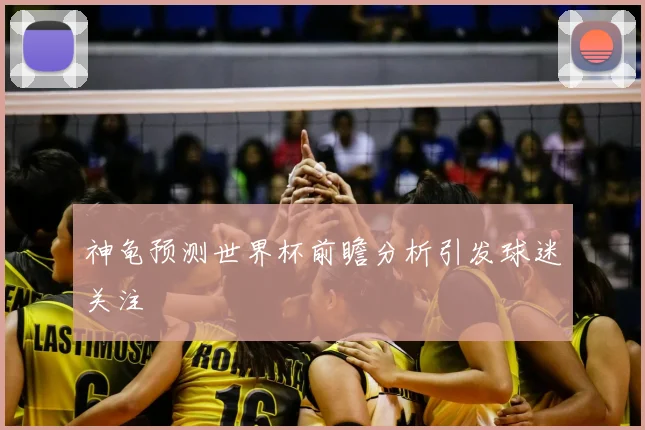 神龟预测世界杯前瞻分析引发球迷关注