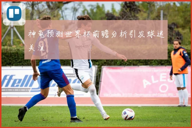 神龟预测世界杯前瞻分析引发球迷关注