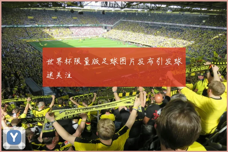 世界杯限量版足球图片发布引发球迷关注