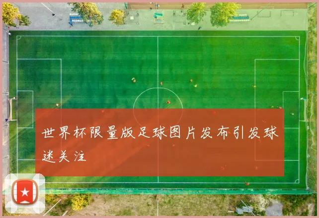 世界杯限量版足球图片发布引发球迷关注