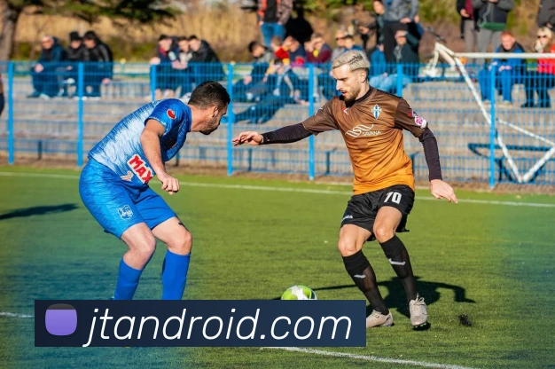 开云app官方在线登录平台生态图